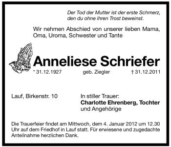 Traueranzeige von Anneliese Schriefer von Pegnitz-Zeitung